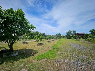 ขายที่ดิน รังสิต คลอง 2 ซอยบงกต 33 คลองหลวง ถมแล้ว แปลงสวย ขนาด 6