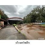 ขายโรงงาน/โกดัง ต.ปากแพรก อ.ดอนสัก จ.สุราษฎร์ธานี