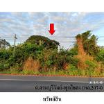 ขายที่ดินว่างเปล่า ต.ถลุงเหล็ก อำเภอ เมืองบุรีรัมย์ จังหวัด บุรีร