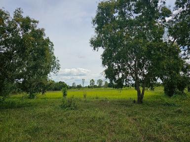 ขายที่ดินมหาสารคาม ติดทางสาธารณะ มหาสารคาม