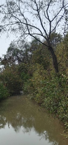 ขายบ้าน 2 ชั้น ติดคลอง ติดถนน 200 ตรว.เศษ อ.บ้านโพธิ์ จ.ฉะเชิงเท