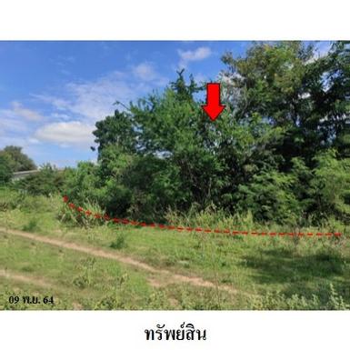 ขายที่ดินว่างเปล่า ค.โคกกรวด อ.เมืองนครราชสีมา จ.นครราชสีมา