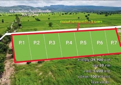 ขายที่ดินแบ่ง100ว. 99,000บ. ผ่อนตรงได้ นิยมชัย อ.สระโบสถ์ ลพบุรี