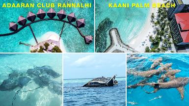 ADAARAN CLUB RANNALHI + KAANI PALM BEACH, MAAFUSHI