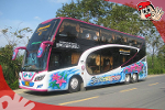 เช่ารถบัสปรับอากาศ รถโค้ชปรับอากาศ ขนาด 30 ที่นั่ง  ขนาด 40 ที่นั่ง ขนาด 50 ที่นั่ง